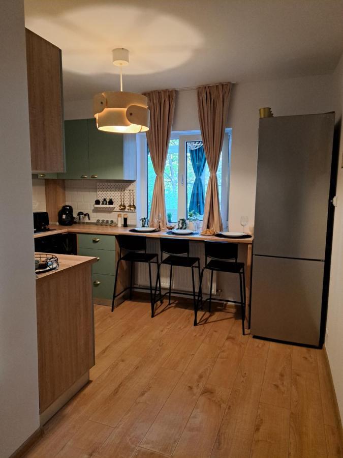 Herastrau Apartament 2 Бухарест Экстерьер фото